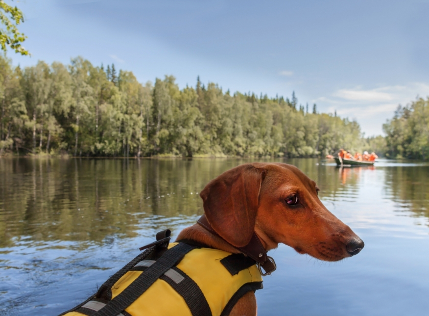 Six Safety Tips to Prevent Boating Risks